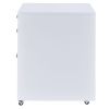 Coleen File Cabinet in White High Gloss &amp; Chrome 92454 - as Pic